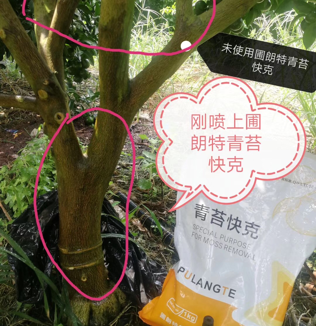 使用前