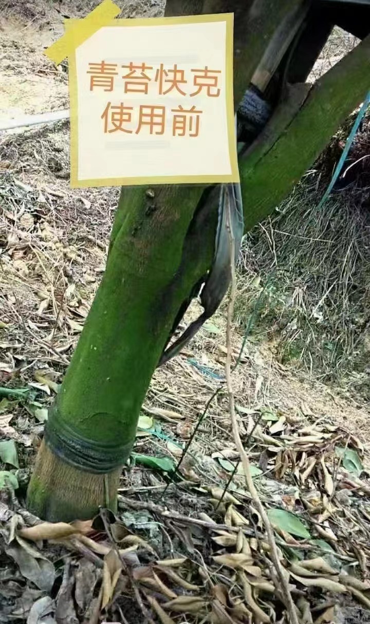 使用前