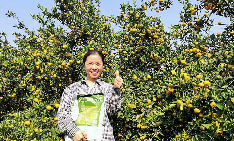 圃朗特大量元素水溶肥符合农户的使用需求